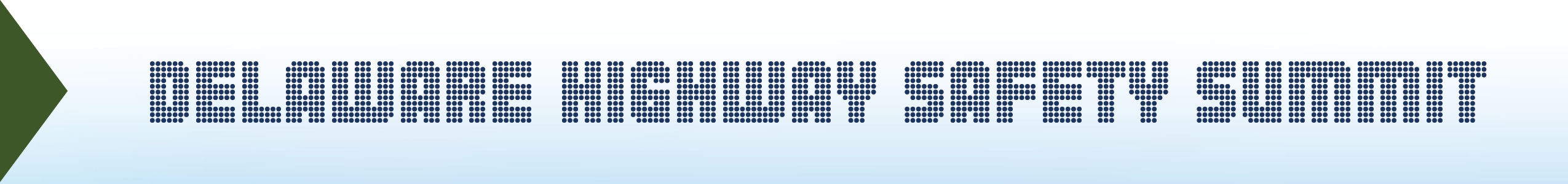 DSHSP Safety Summit Banner